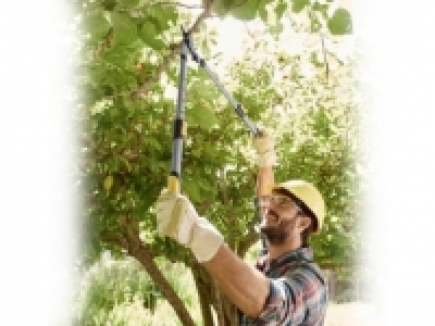 FLORABEST® Telescopic Bypass Loppers