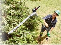 Lidl  FLORABEST® 900W Long-Reach Hedge Trimmer