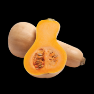 Butternut Squash