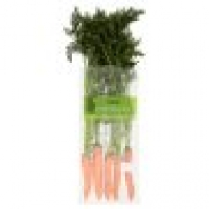 Bunched Carrots 500G 1.99&nbsp;&euro;