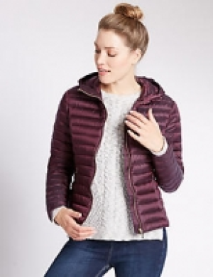 Padded Jacket 110.00 €