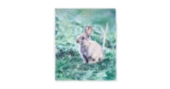 Bunny Print Sherpa Fleece