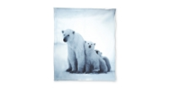 Polar Bear Print Sherpa Fleece
