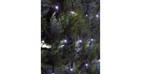 240 LED Net Lights
