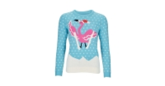 Ladies Skiing Flamingo Jumper