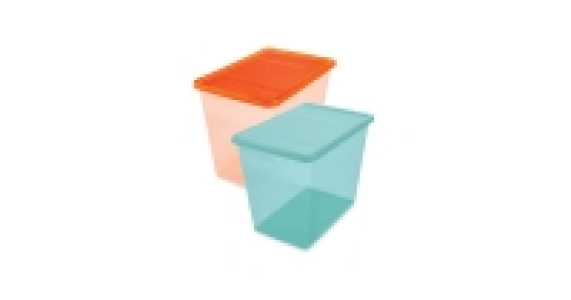 80L Tinted Storage Box 11.99 €