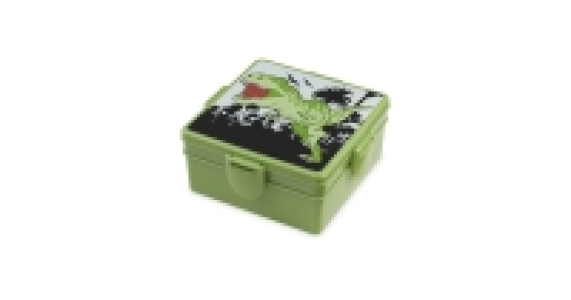 Dinosaur Kids Lunch Box