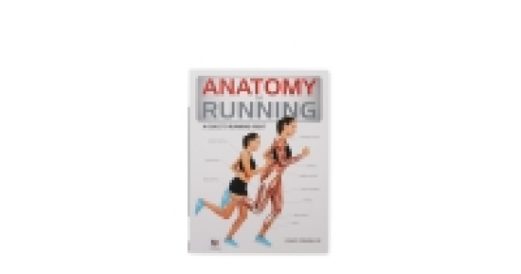 Anatomy Of Running