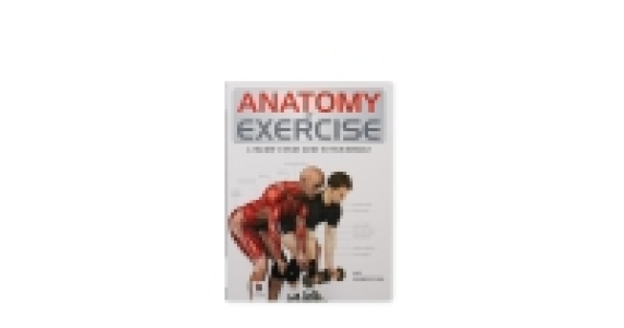 Anatomy Of Exercise