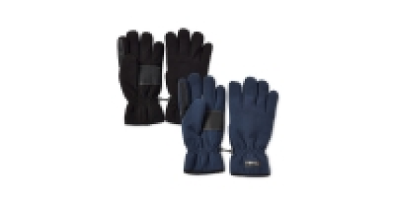 Thinsulate Gloves