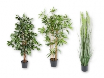 MELINERA&reg; Decorative Plants
