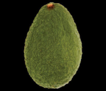 Centra Avocado Loose