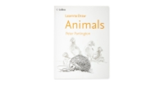 Learn To Draw Animals
