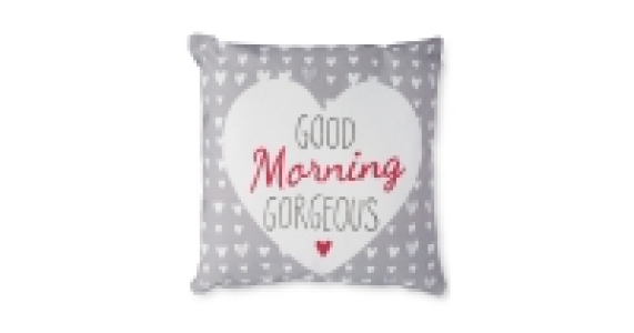 Gorgeous 40 x 40cm Cushion