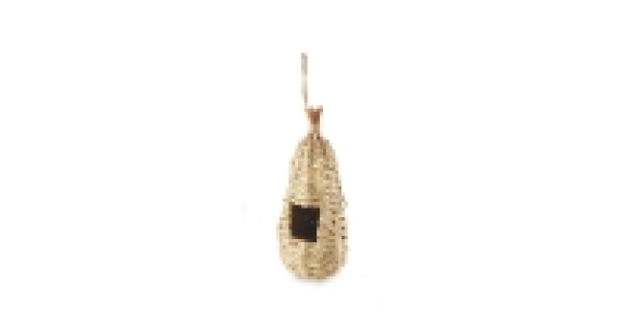 Reed Grass Nesting Pods