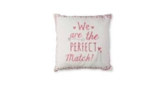 Perfect Match 40 x 40cm Cushion