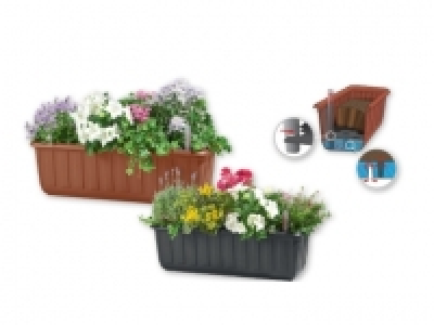FLORABEST® Flower Box