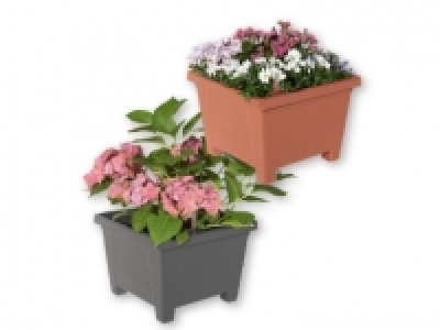 FLORABEST® Self-Watering Plant Pot 4.99 €