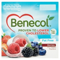 SuperValu  Benecol Yogurt Fat Free Forest Fruit 4 Pack (125 Grams)