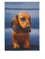 Marks and Spencer  Animal Print Tea Towel