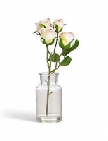 Marks and Spencer  Rose Bunch in Bottle