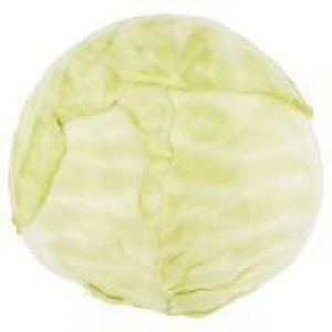 Round Head Cabbage 0.89 €