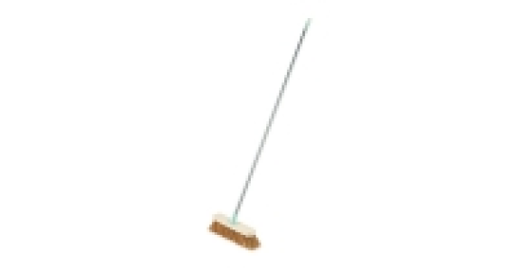 Easy Home Soft Coco Wood Broom Blue