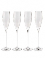 Marks and Spencer  4 Pack Lily Champagne Flutes