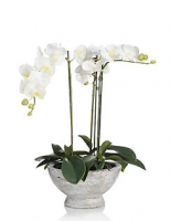 Marks and Spencer  Artificial Large Orchid in Ceramic Jar