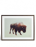 Marks and Spencer  Bison Wall Art