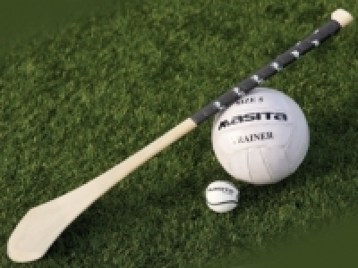 MASITA® Sliotar 2.99 €