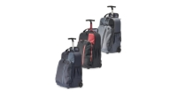 Trolley Backpack