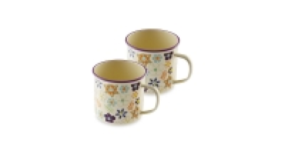 Floral Enamel Mugs 2-Pack
