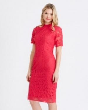 Gallery Fitted Lace Dress 50.00&nbsp;&euro;