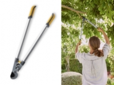 Lidl  FLORABEST® Anvil Lopper