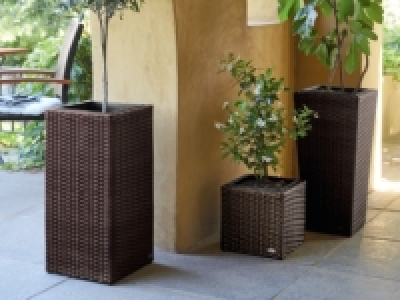 Lidl  FLORABEST® Wicker Planter