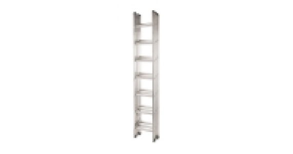 Workzone Triple Extension Ladder