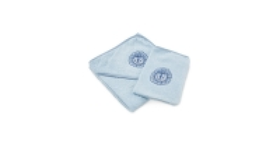 Lion Baby Towel & Wash Mitt