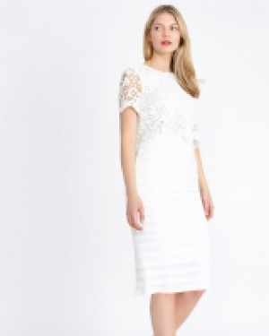 Gallery Lace Pleat Dress
