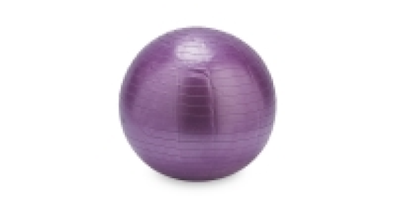 Crane Berry Gym Ball 65cm