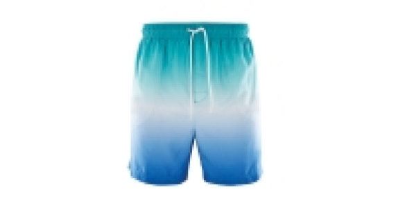 Avenue Mens Dip Dye Swim Shorts