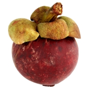 Mangosteen