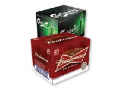 Lidl  Budweiser/ Carlsberg