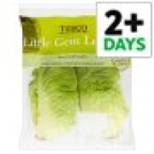 Tesco  Tesco Little Gem Lettuce Twin Pack