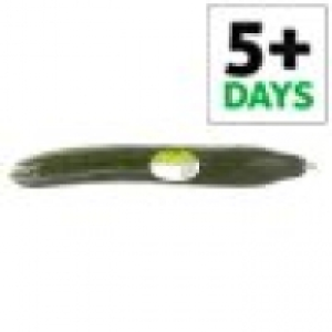Tesco Whole Cucumber Each 0.49 €