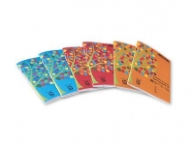 Aisling® Writing/Sum Copybook
