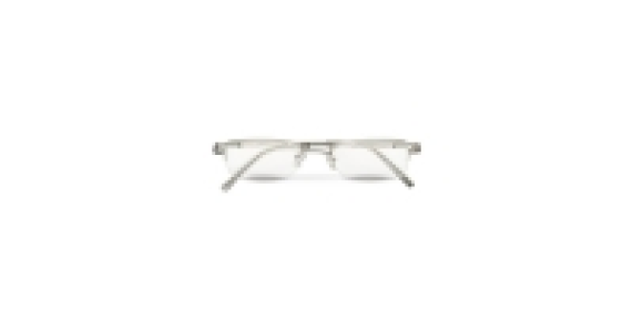 Eyewear Silver Reading Glasses