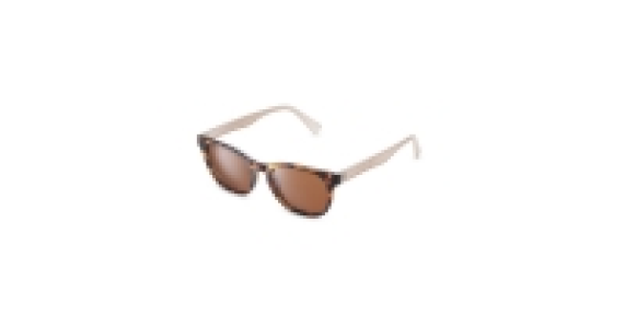 Turtle Shell Polarised Sunglasses