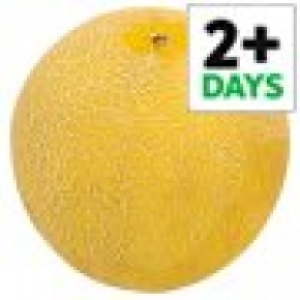 Tesco Galia Melon Each 0.49 €