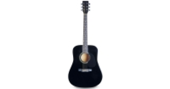 Freedom 41 Acoustic Guitar